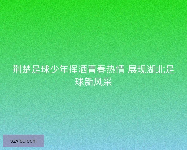 荆楚足球少年挥洒青春热情 展现湖北足球新风采 荆楚足球少年挥洒青春热情 展现湖北足球新风采