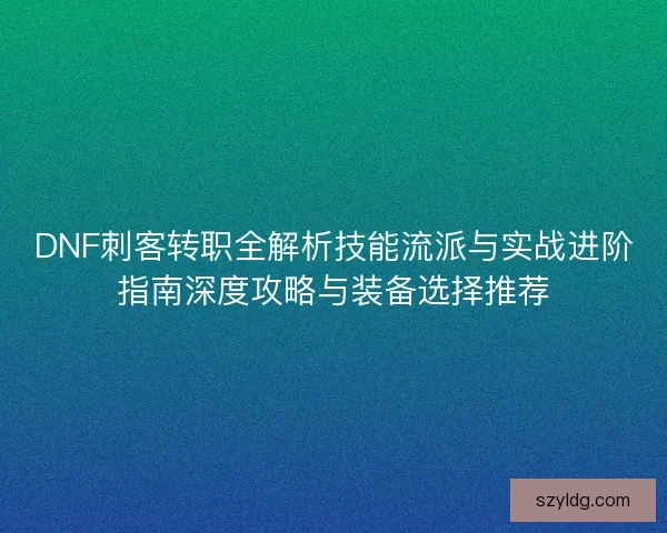 DNF刺客转职全解析技能流派与实战进阶指南深度攻略与装备选择推荐